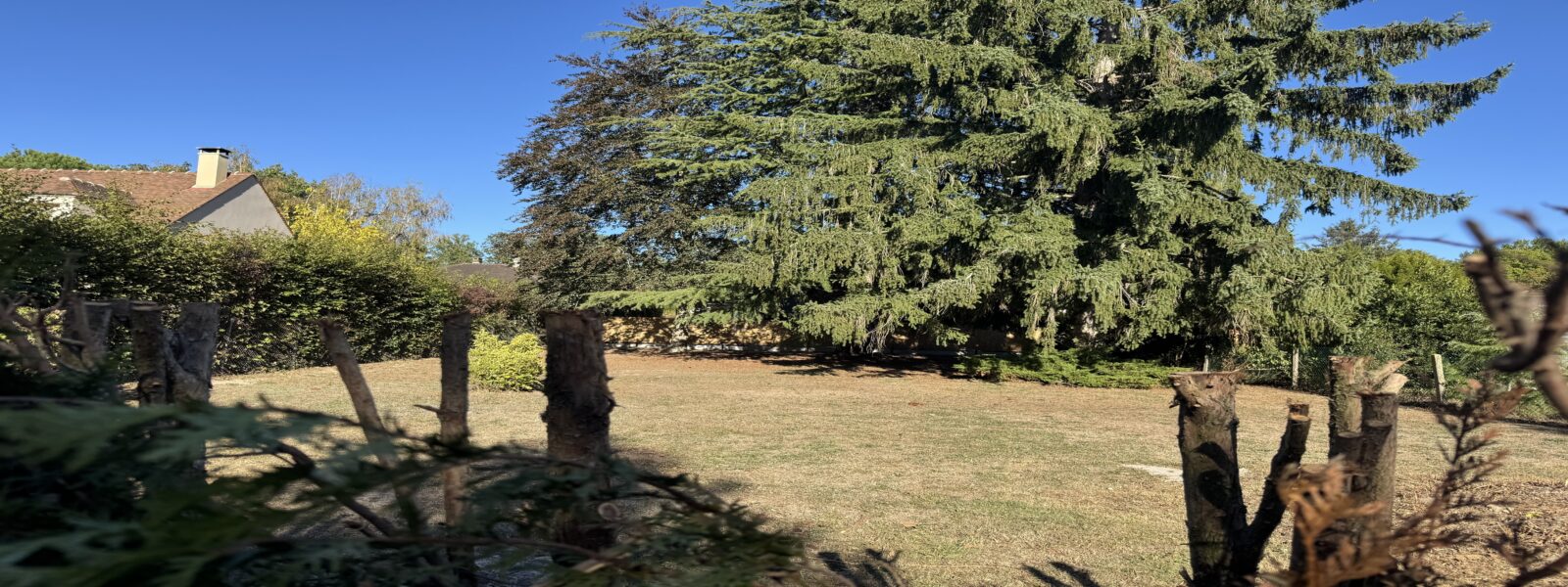 IMG_1900.jpeg